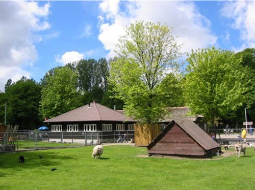 vacaturebank vrijwilligers